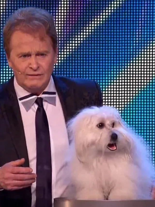 The dog talks to Mark on the BGT stage and all the judges are shocked